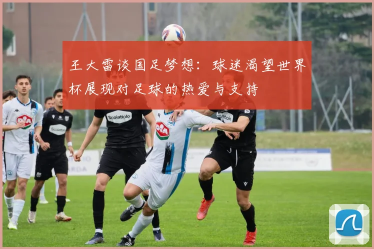 王大雷谈国足梦想：球迷渴望世界杯展现对足球的热爱与支持