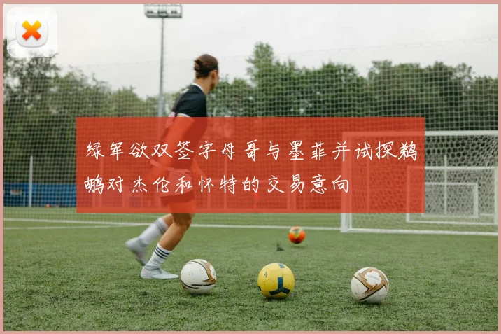 绿军欲双签字母哥与墨菲并试探鹈鹕对杰伦和怀特的交易意向